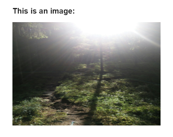 ../_images/email_emb_img.png